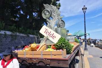 Romería ofrenda a la Virgen del Pino (Foto TA y Antonio Alí)